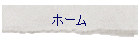 �z�[��